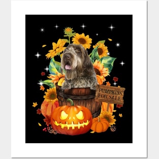 Wirehaired Pointing Griffon Halloween Pumpkin Fall Bucket Posters and Art